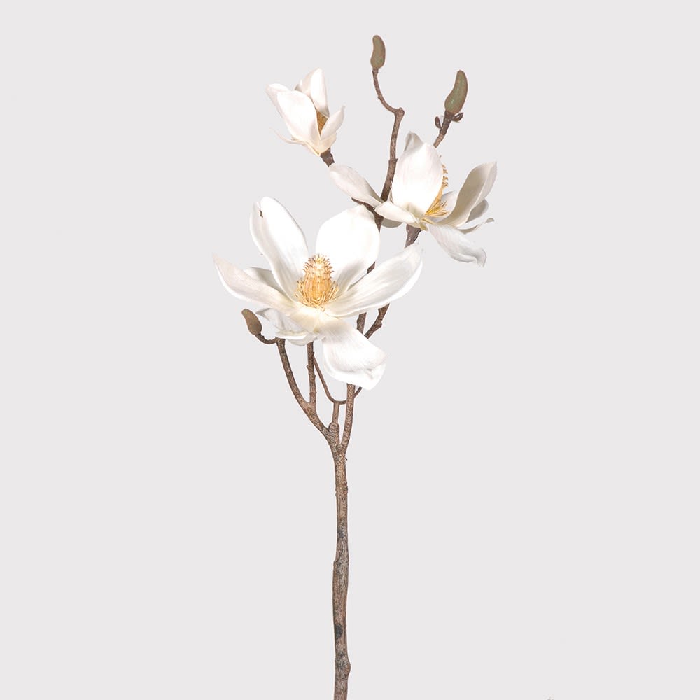 or-and-wonder-collection-magnolia-branch-spray-cream