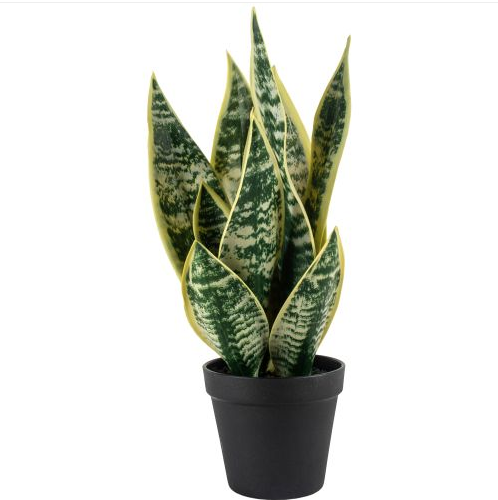 Grand Illusions Faux Snake Plant in Pot
