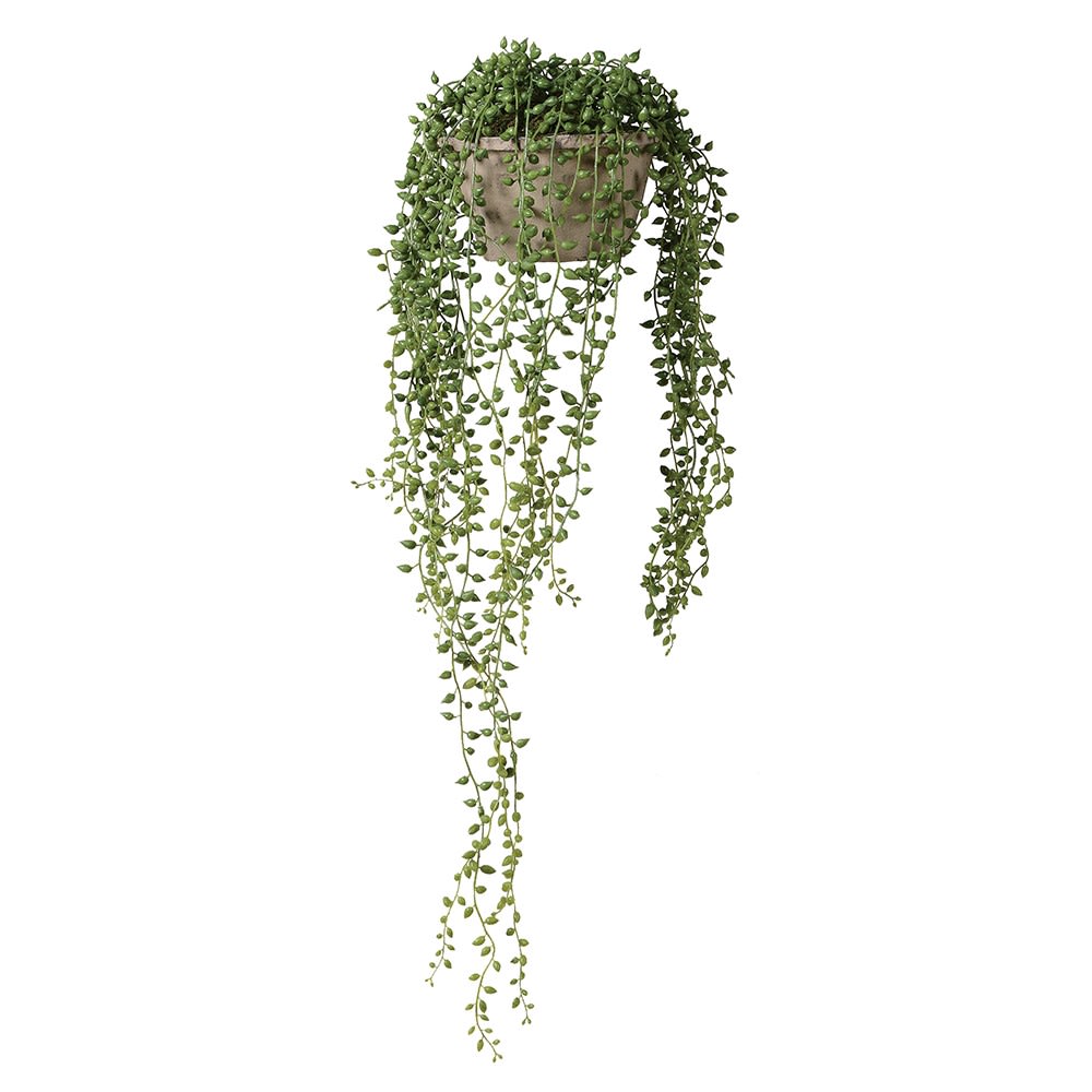 Housed Faux String-Of-Pearls Plant in Cement Pot