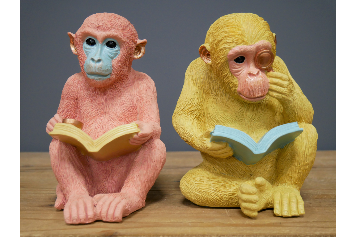 &Quirky Intelligent Colourful Monkey Bookends