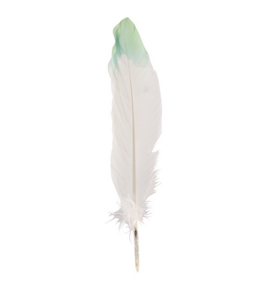 Bag of 12 Pieces Ombre Light Green White Goose Feather