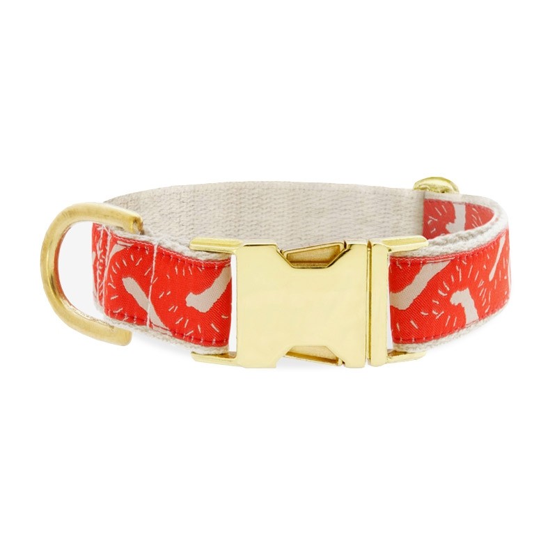 see-scout-sleep-life-of-the-party-dog-collar-red