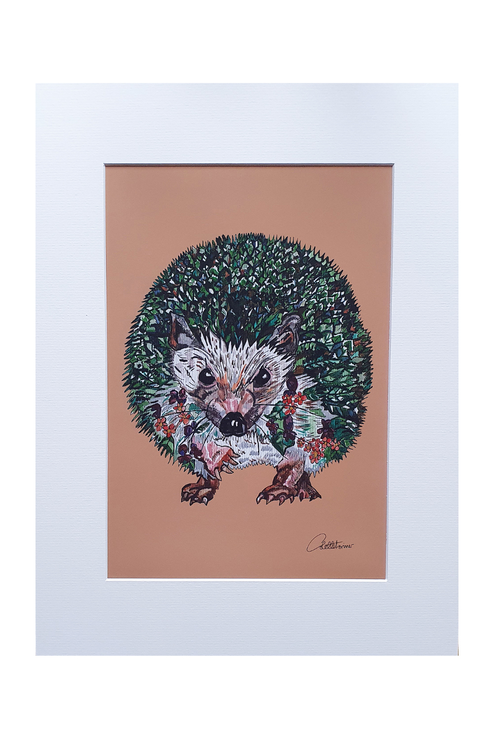 Canvasbutterfly Hedgehog Mounted Print