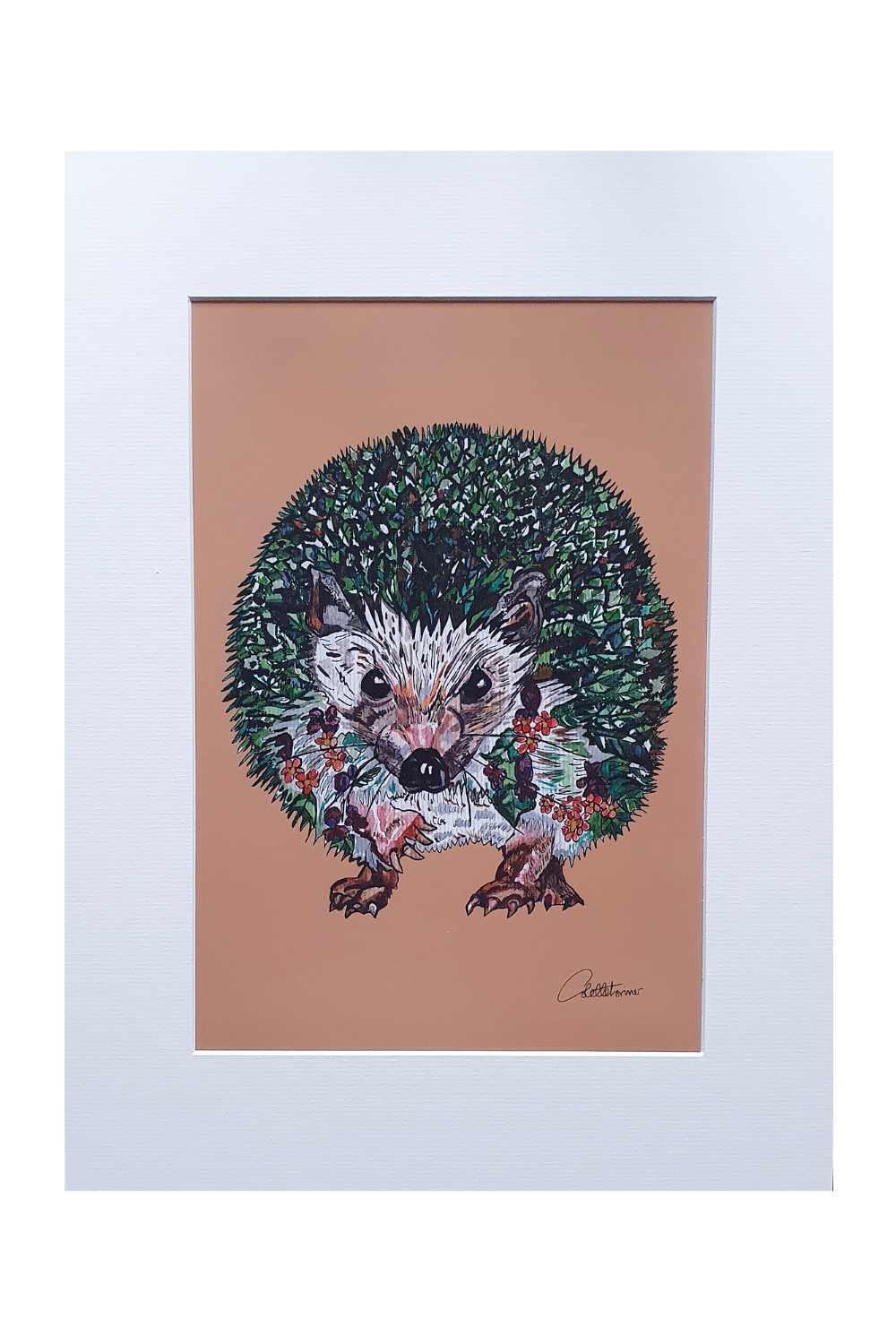 Hedgehog A3 Mounted Print