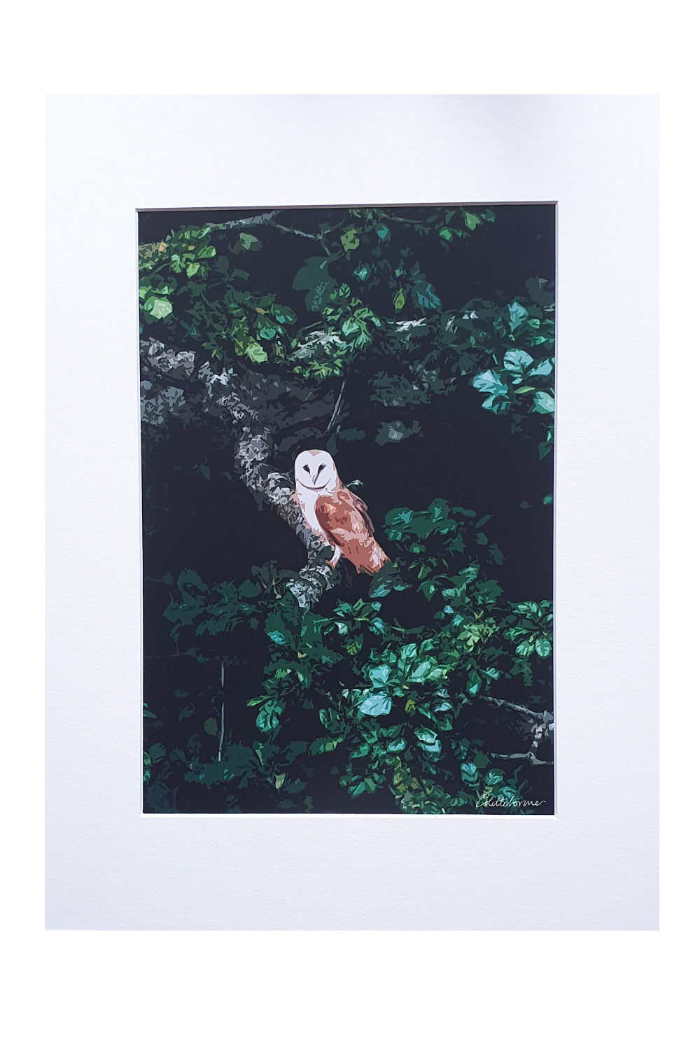 Canvasbutterfly Night Owl Mounted Print