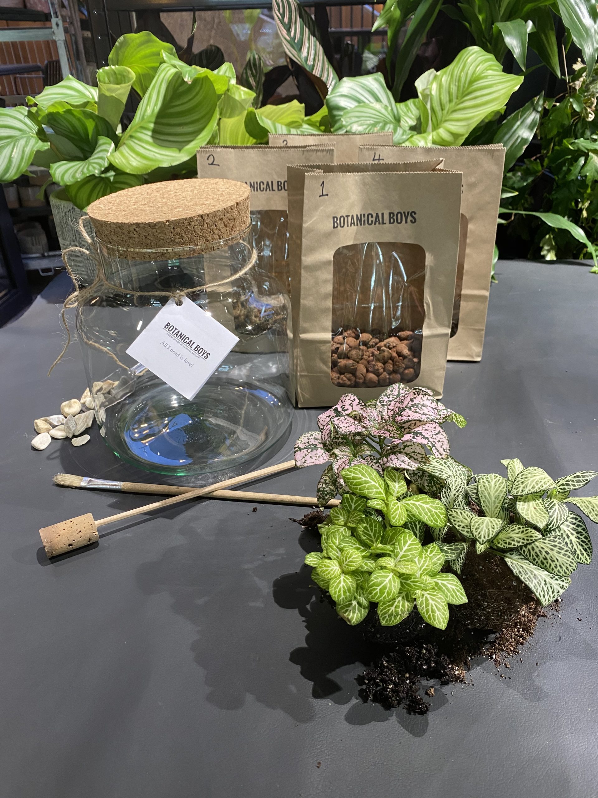 botanicalboysuk Terrarium Kit Ingredients Large No Glass