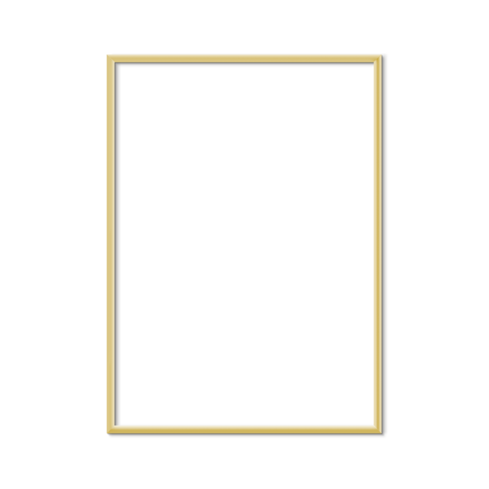 PLTY 50 cm x 70 cm Gold Aluminum Frame