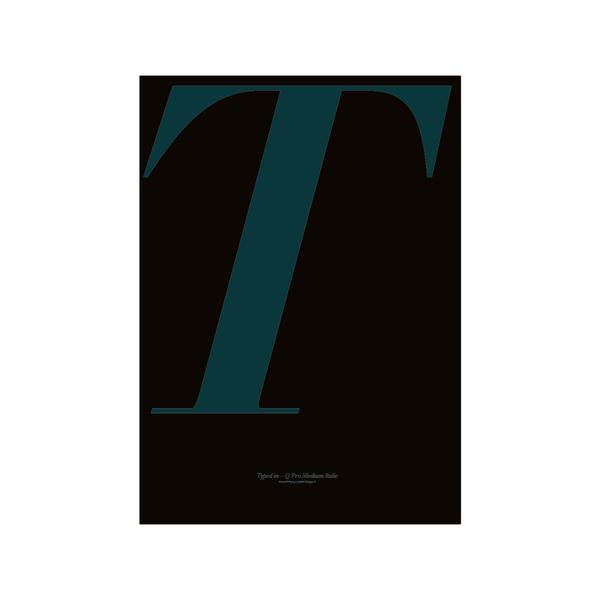 PLTY A3 In Love with Typography T Poster