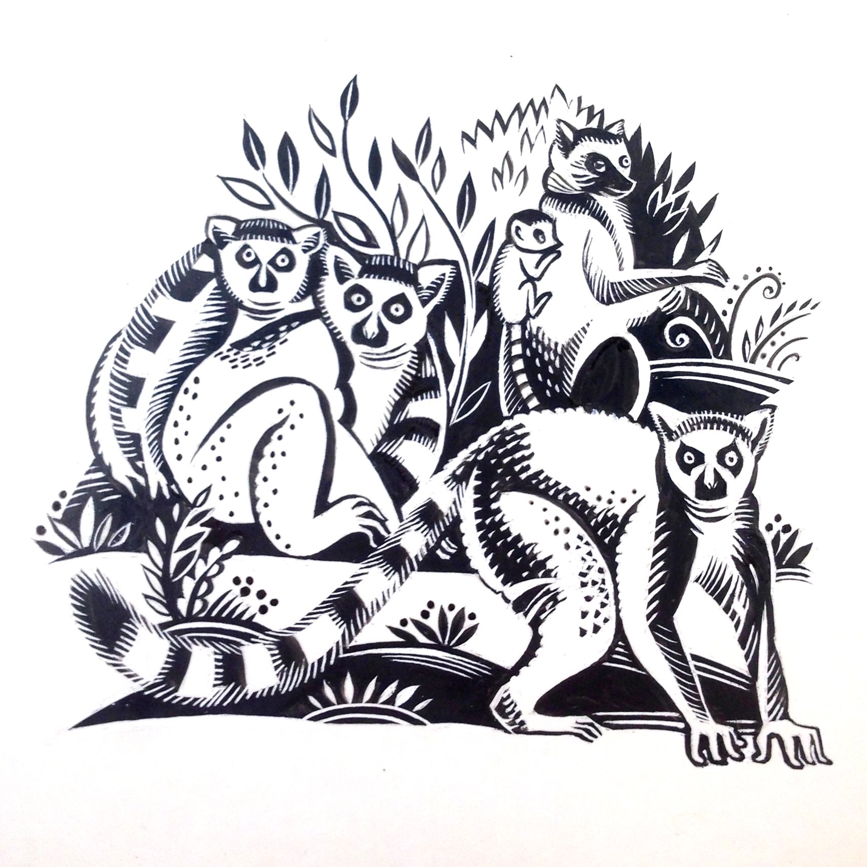 Sarah Young Original Scraperboard Lemurs Illustration Print
