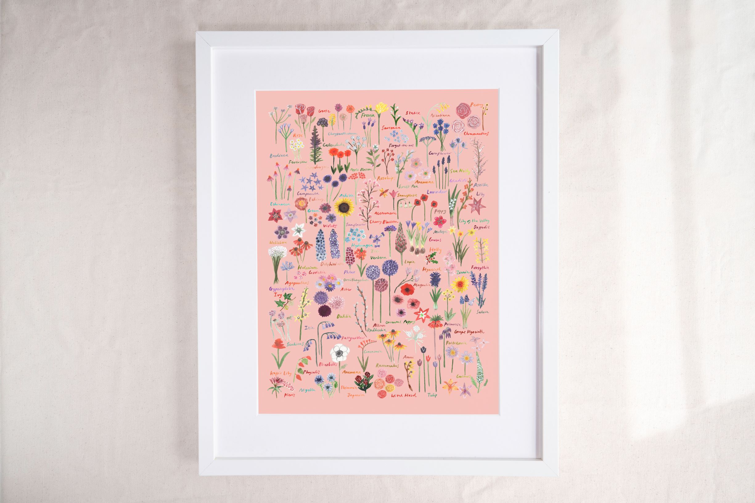 Hattie Buckwell Named Flowers A3 Art Print