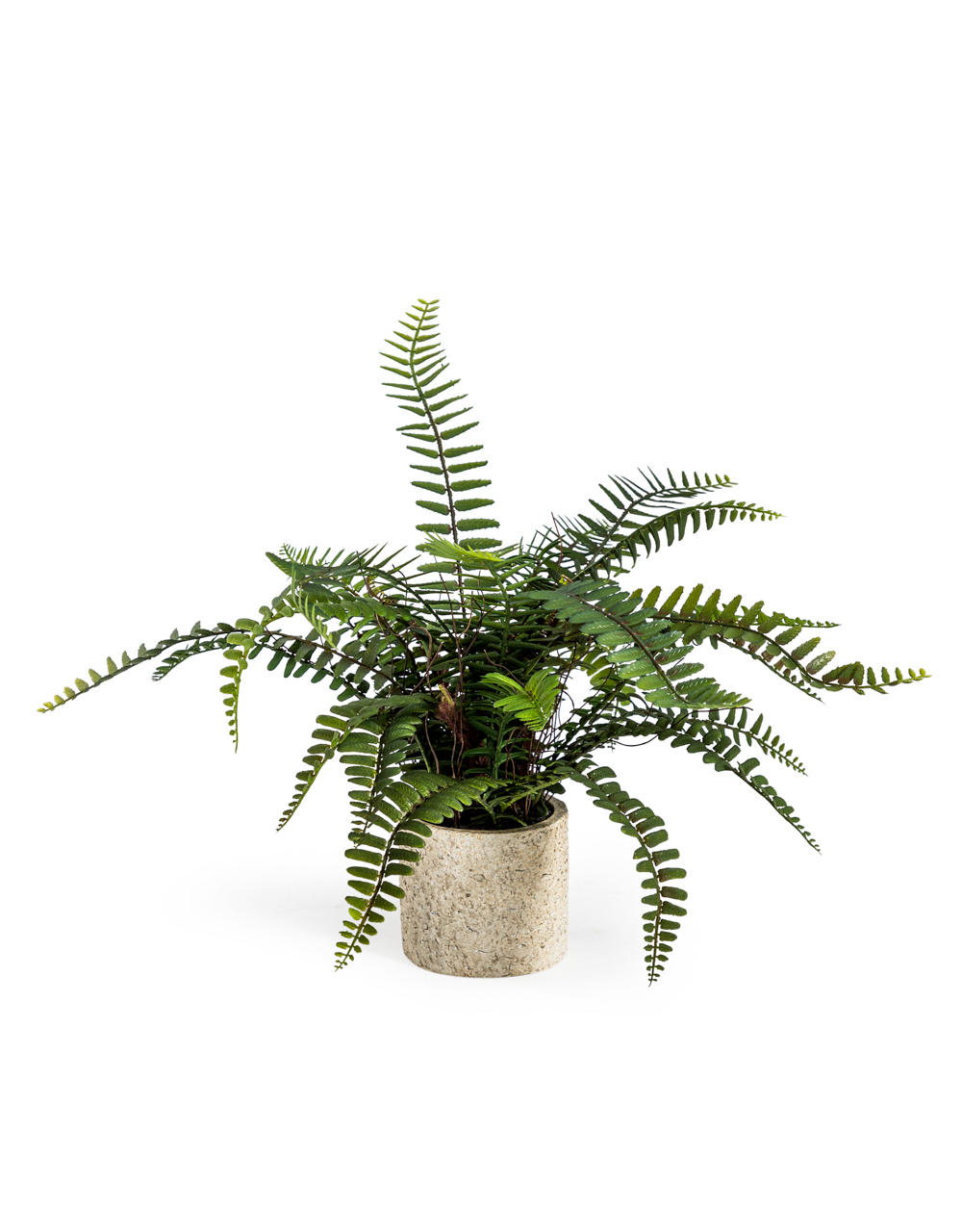 &Quirky Faux Ornamental Potted Fern Plant