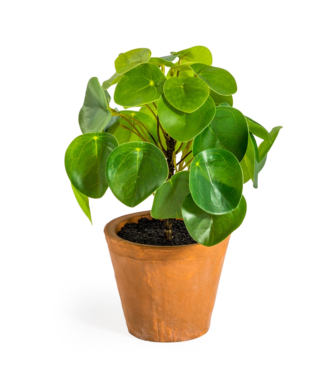 &Quirky Faux Potted Pilea Plant