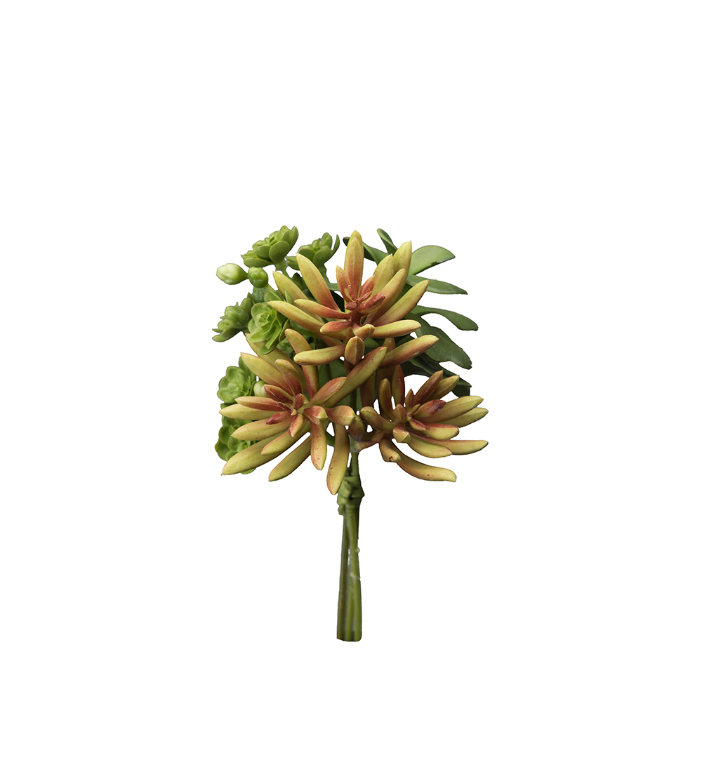 Mr Plant Succulent bukett 18 cm