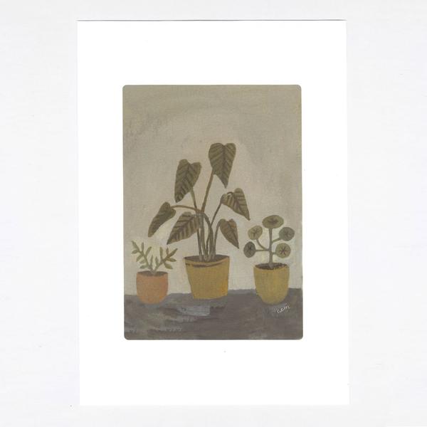 Houseplants A4 Print