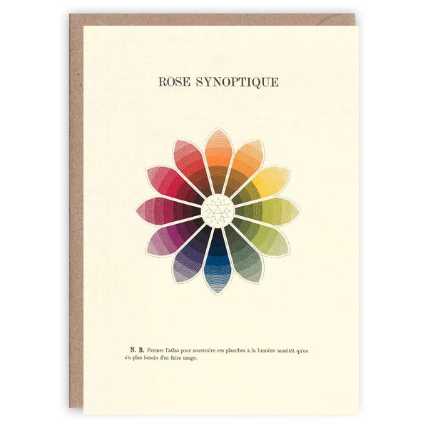 Colour Theory Card Rose Synoptique