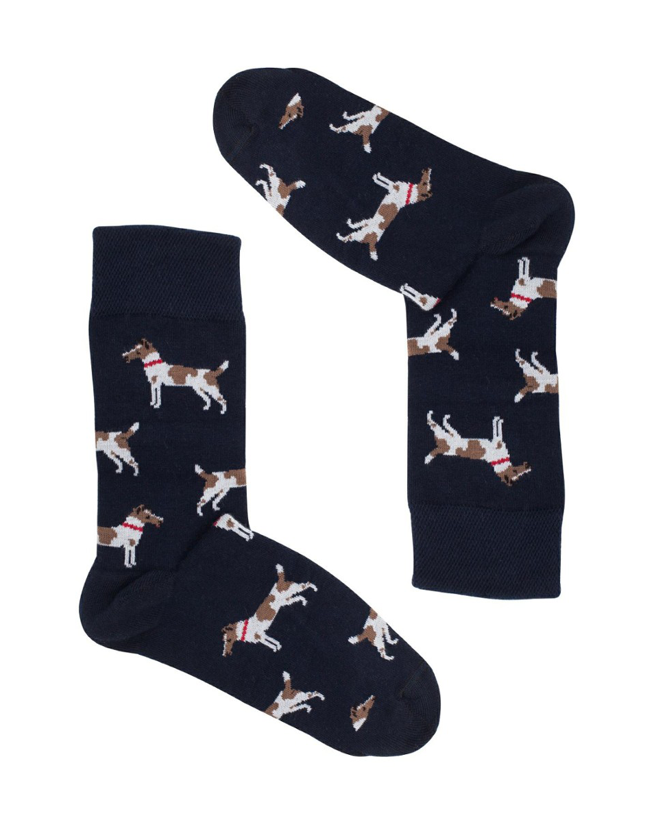 Fox Terrier Blue Socks