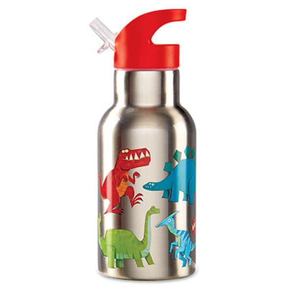 Dinosaur Steel Water Bottle