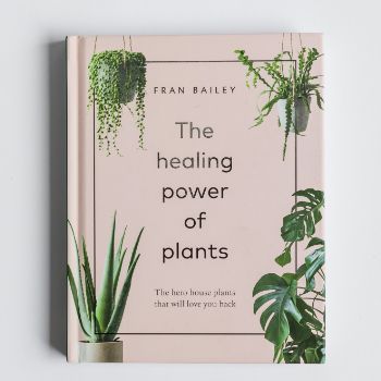 Forest The Healing Power of Plants Book