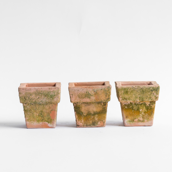 B Green Set of 3 Square Terracotta Pots