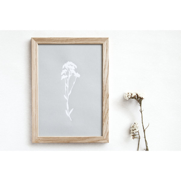 Ola Foil Blocked A4 Print Botanical Collection - Alyssum Grey/White