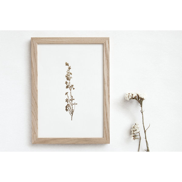 Ola Foil Blocked Print Botanical Collection - Heather Ivory/Brass