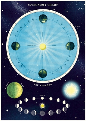 Cavallini & Co Astronomy Chart Wrap / Poster