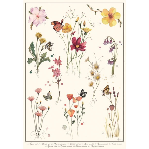 MARIALU A3 Wild Flowers Art Print
