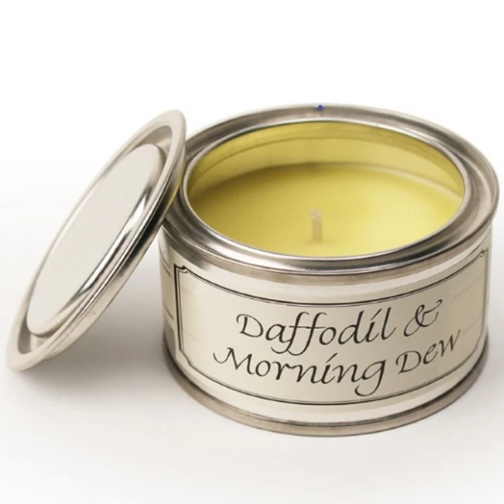 pintail-candles-daffodil-and-morning-dew-pintail-paint-pot-candle