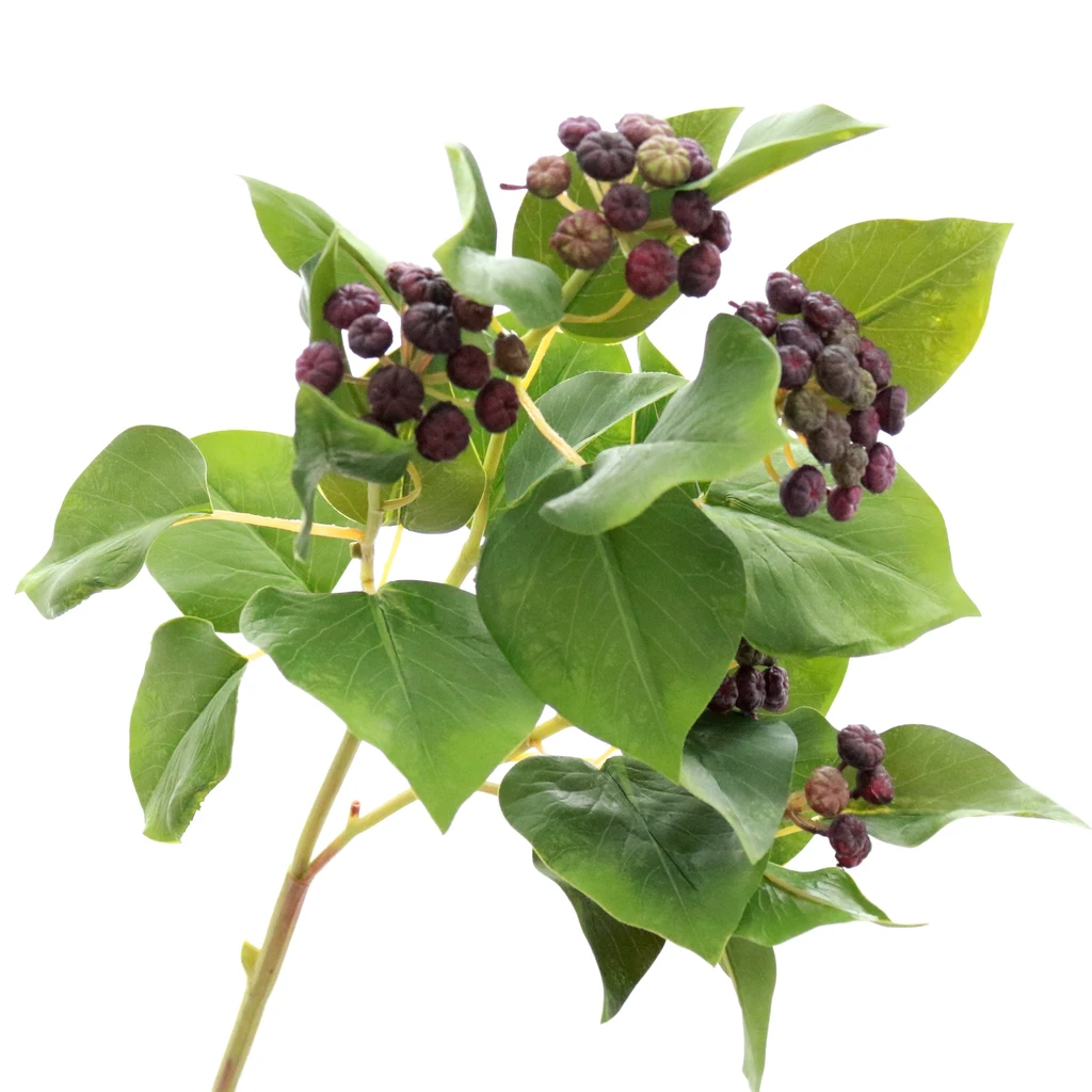 Or & Wonder Collection 69cm Green Ivy with Purple Berries