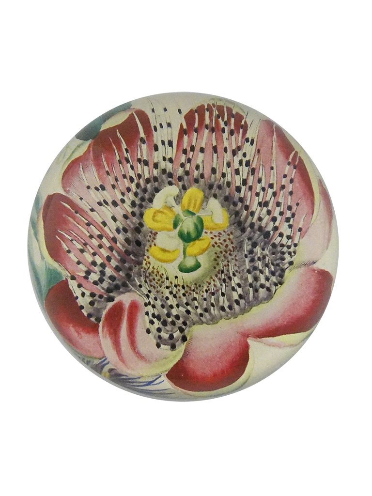 Passion Flower Paperweight