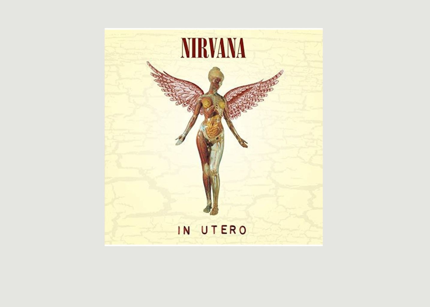 La vinyl-thèque idéale In Utero Nirvana