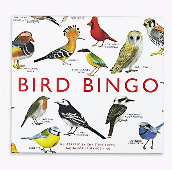 Lawrence King Publishing Bird Bingo Game