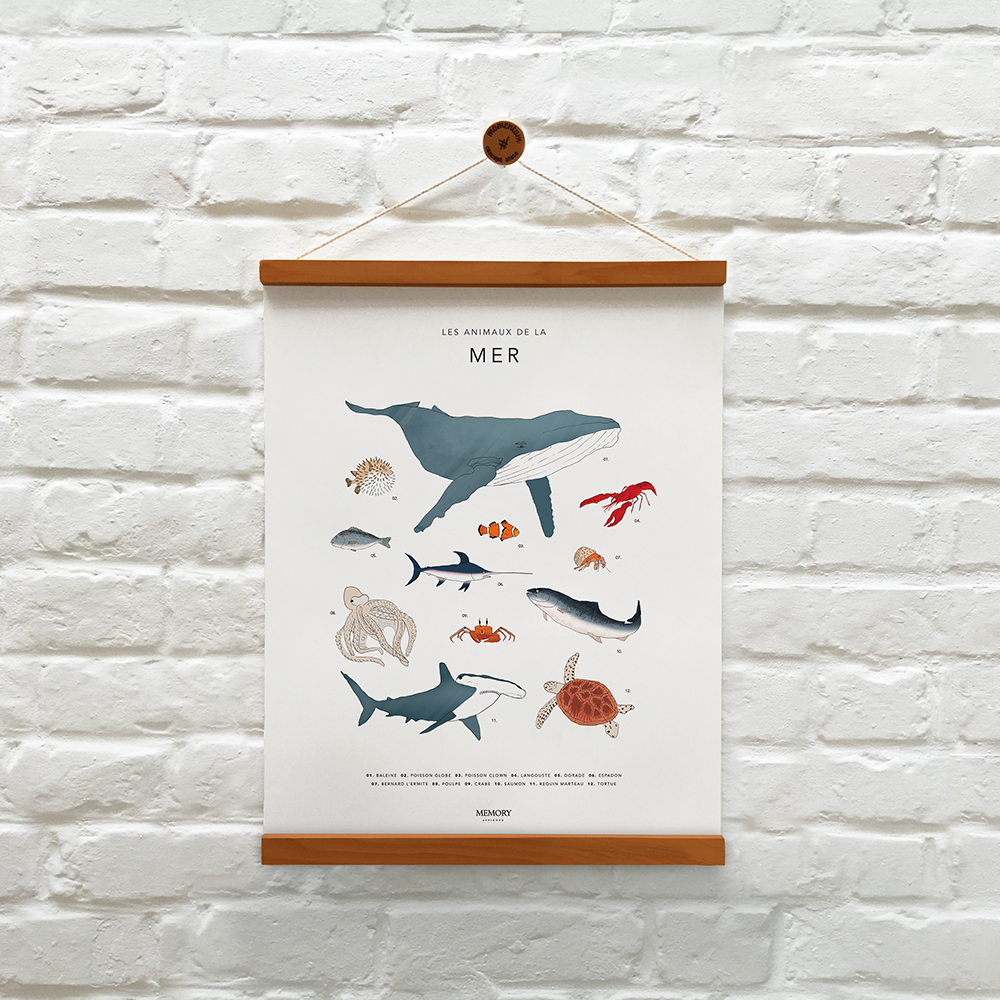 Memory Affiche Animals of The Sea Learning Poster