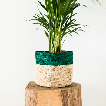 Domoina Medium Green Stripe & Natural Raffia Basket