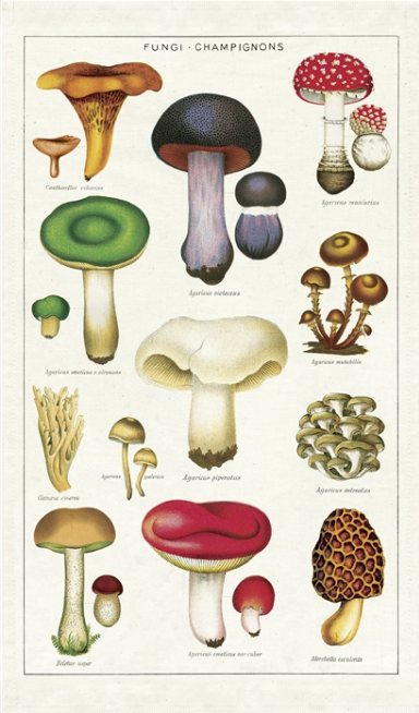 Cavallini & Co Mushrooms - Tea Towel