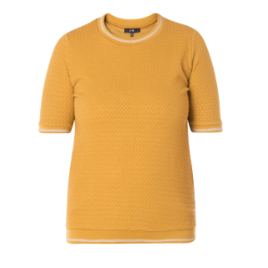 yest-mustard-32576-top