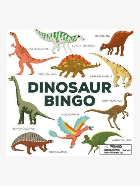Bookspeed Dinosaur Bingo Book