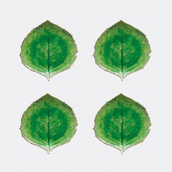COSTA NOVA Unique Green Glazed Hydrangea Ceramic Leaf - Set of 4
