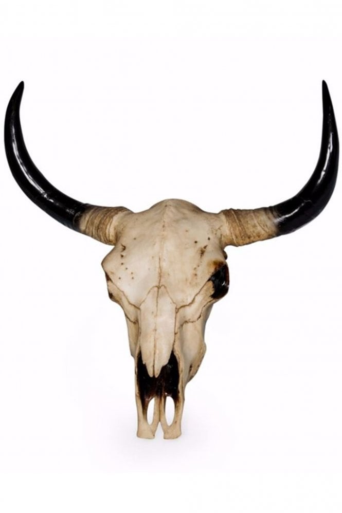The Home Collection Extra Large Bison Skull Wall Head