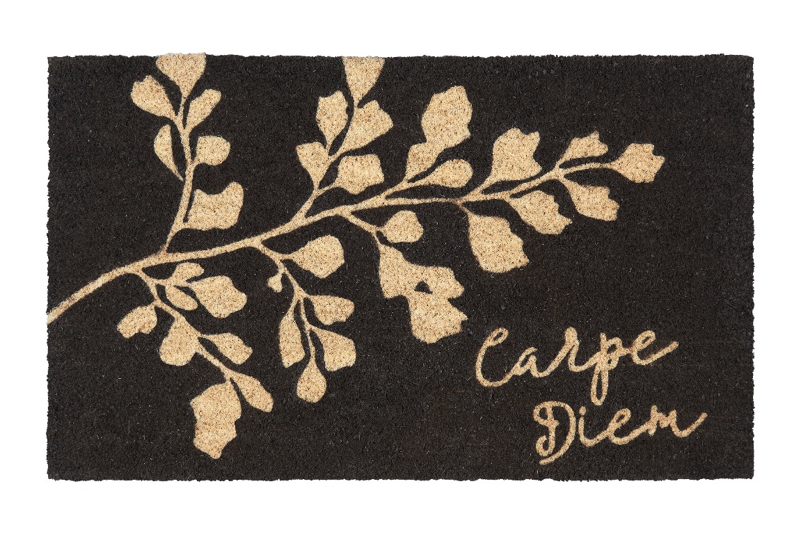 Carpe Diem & Fern Doormat