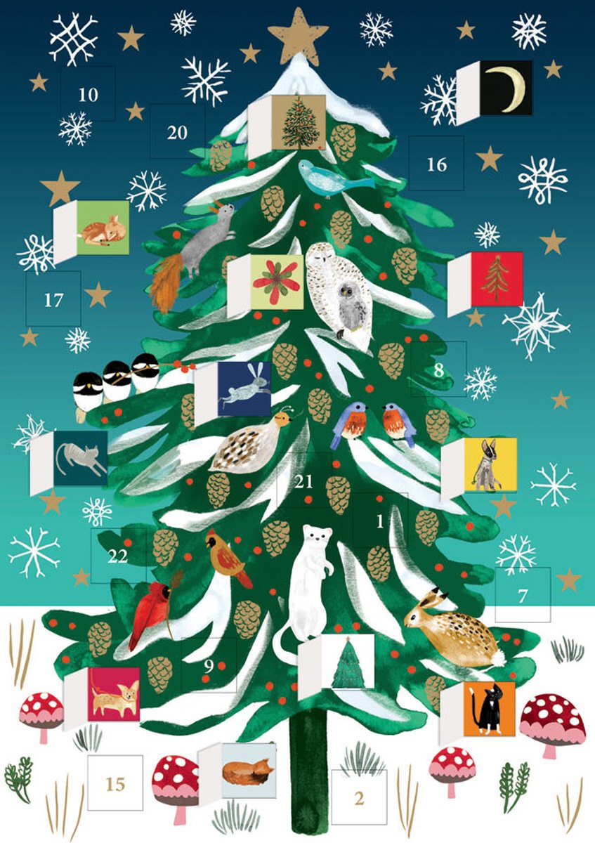 Trouva Christmas Conifer Advent Calendar Card