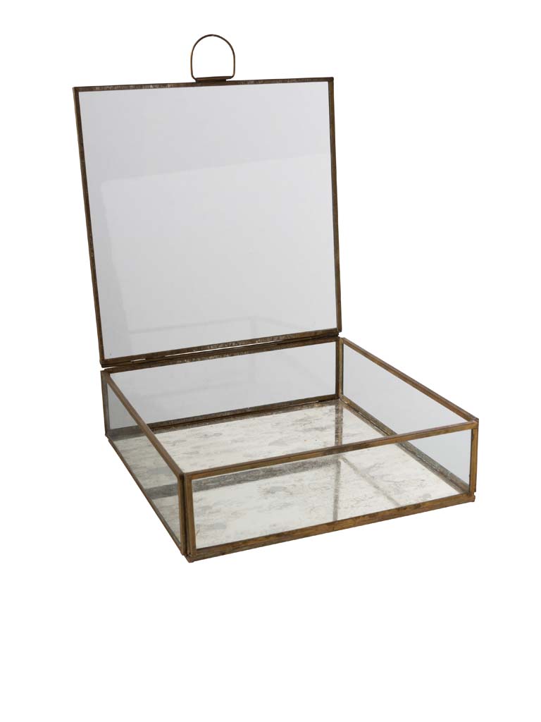 Chehoma Brass and Glass Case