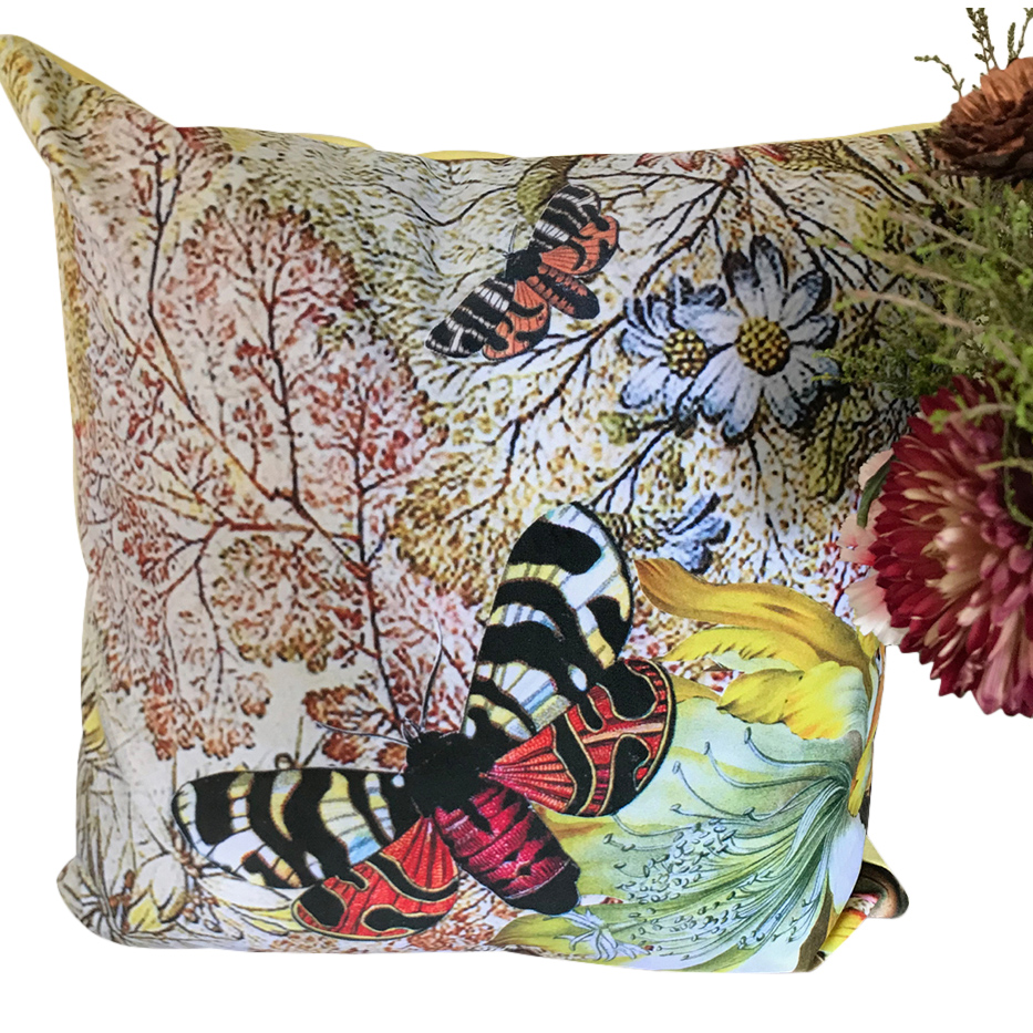 Diana Wilson Arcana Moth Design Velvet Cushion - Small