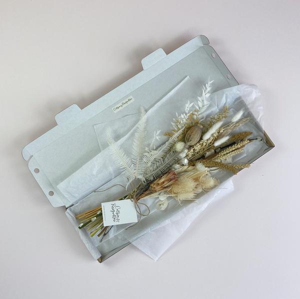 Catkin & Pussywillow Bleached Dried Flowers Letterbox Dried Flower Stems