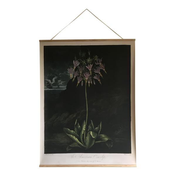 Maitri Canvas Wall Hanging American Cowslip
