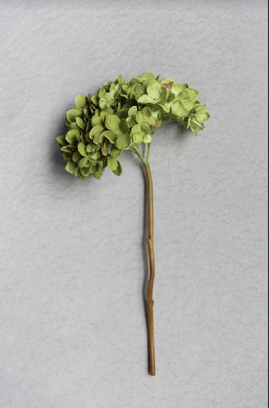 Abigail Ahern Hydrangea Green Faux Flower Stem