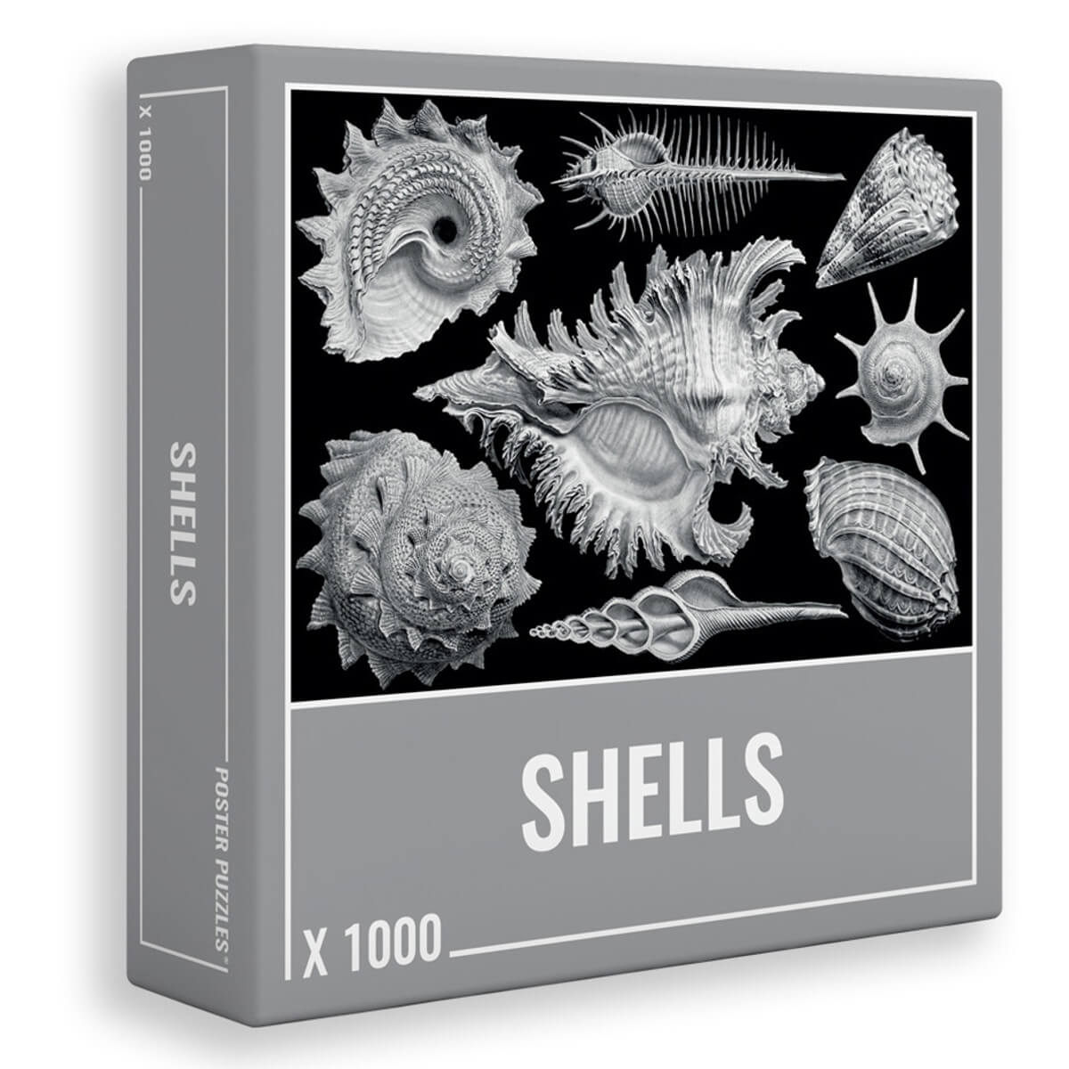 Cloudberries 1000 Pieces Shells Puzzle