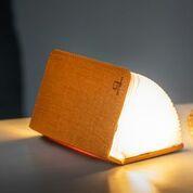 Gingko Smart Booklight Mini Harmony Orange