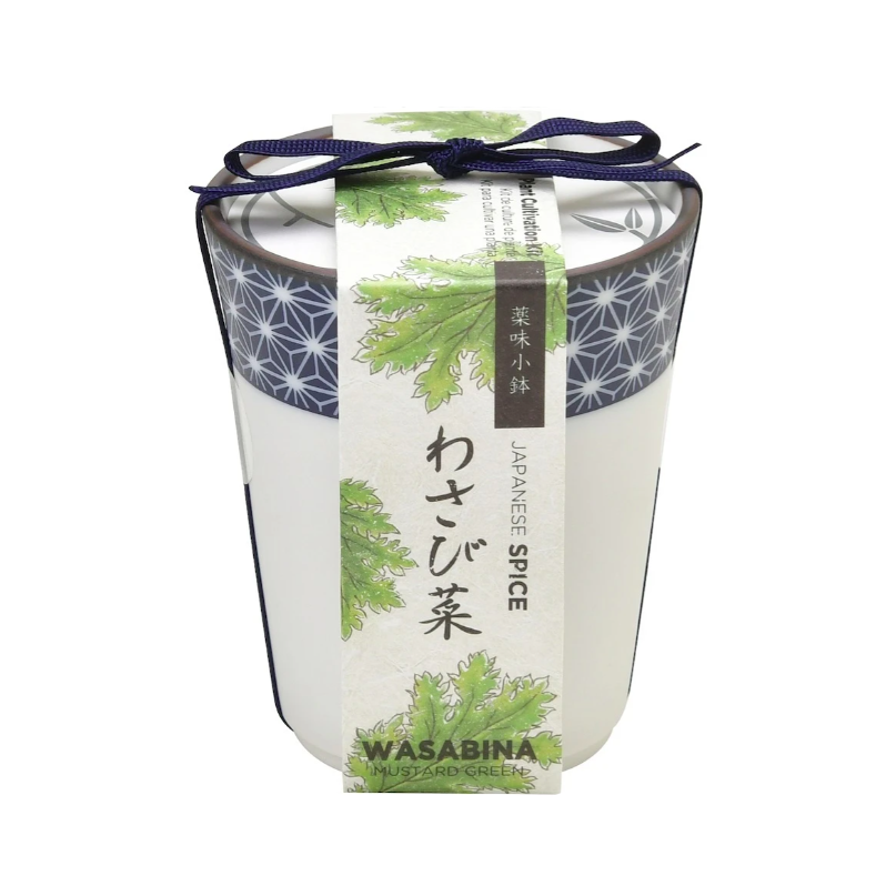 Noted Grow Your Own Japanese Herbs Kit In A Ceramic Pot Wasabina