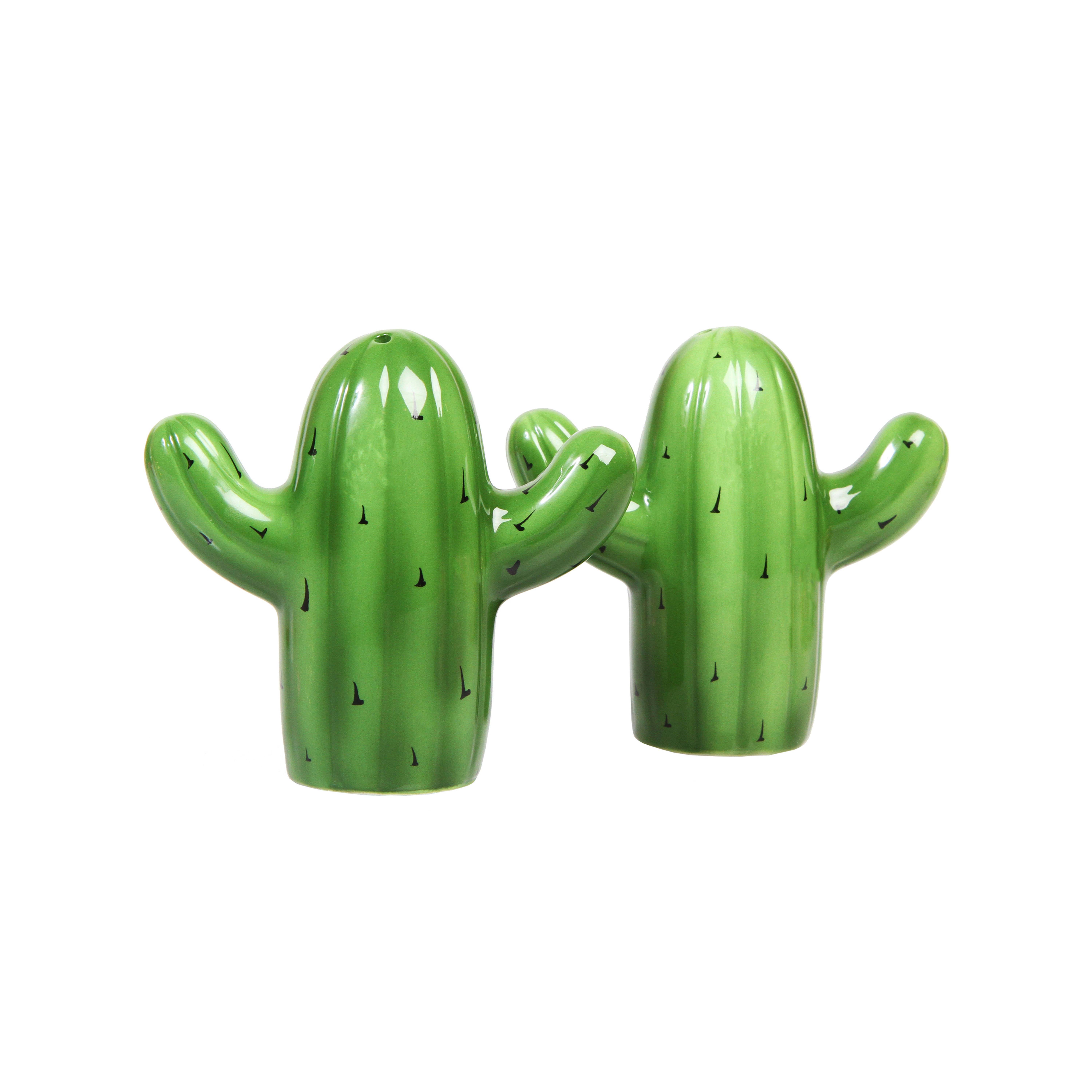 andklevering-klevering-saliere-et-poivriere-cactus